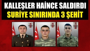 Kalleşler karşısına çıkamadığı Mehmetçiğe pusu kurdu