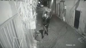 Kamera taktırdı yine de çöp kovası 4'üncü kez çalındı