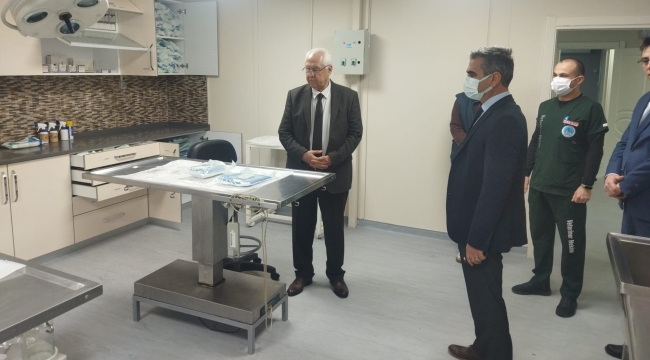 Karabağlar'da sokak hayvanları için örnek sistem