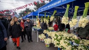 Karaburun Nergis Festivali başladı
