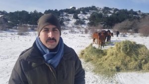 Karla kaplanan Spil'de yaban hayatı unutulmadı