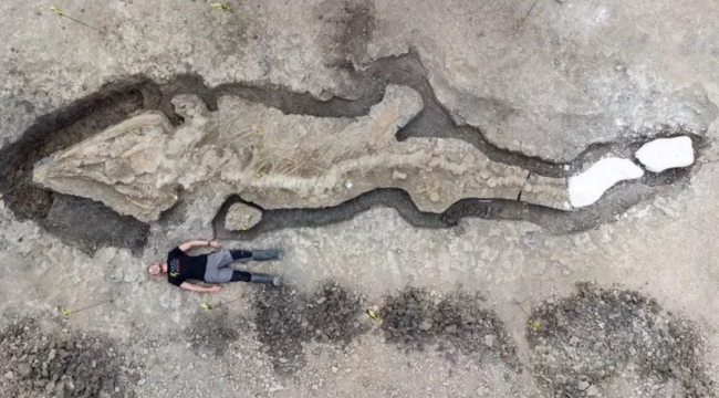 Kıyıdan 50 km içeride dev 'deniz ejderhası' fosili bulundu