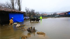 Köyceğiz Gölü taştı, Menteşe'de de ahırları su bastı