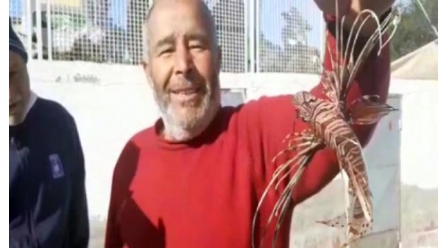 Kuşadası'nda istilacı aslan balığı yakalandı