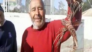 Kuşadası'nda istilacı aslan balığı yakalandı