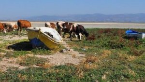 Kuşlar terk etmişti, şimdi su tutmaya başladı