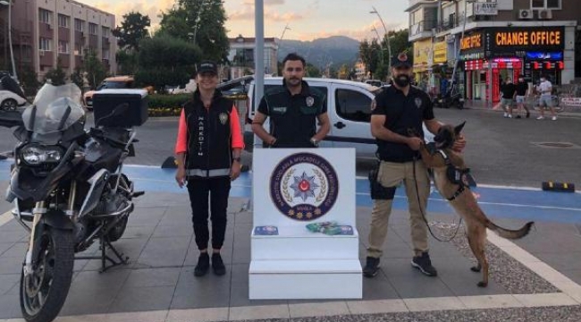 Marmaris'in 'Coco'su, suçluların korkulu rüyası oldu