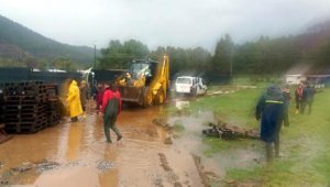 Marmaris'te su basan özel hayvan bakımevine belediyeden yardım eli