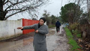 Menderes'te başıboş köpekler, mahallelinin kabusu oldu