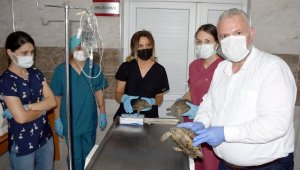 'Menemen tüm canlıların ortak yaşam alanı'