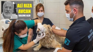 Meslek odası eliyle soygun gibi özelleştirme