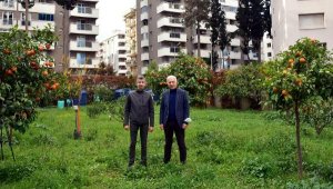 Jeotermal suyla gübresiz tarım