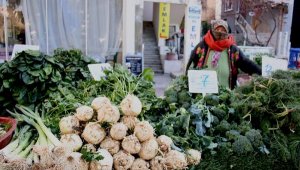 Sağlıklı gıdanın adresi: Kuşadası Yerel Üretici Pazarı