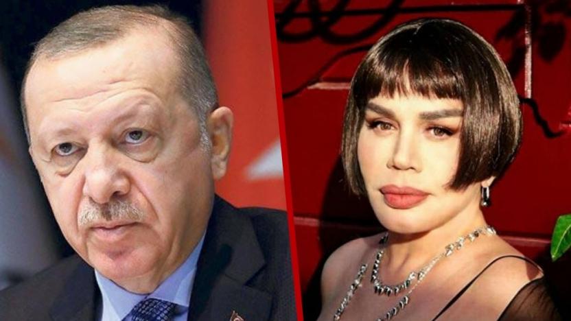 Sezen Aksu'dan Cumhurbaşkanı'na mesaj 