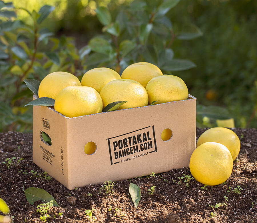 Sezon meyvelerine online satış ile kolayca ulaşım sağlayın!