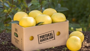 Sezon meyvelerine online satış ile kolayca ulaşım sağlayın!