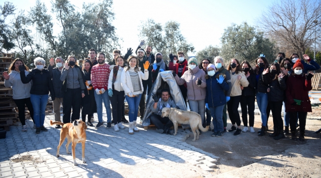 Soğuk kış günlerinde sokak hayvanlarına kulübe