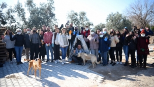 Soğuk kış günlerinde sokak hayvanlarına kulübe