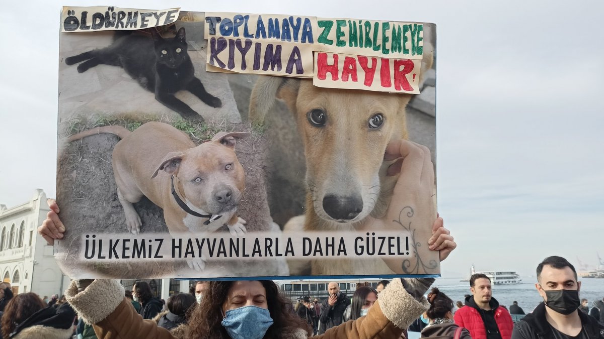Sokak köpekleri için eylem yaptılar