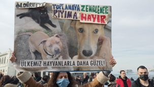 Sokak köpekleri için eylem yaptılar