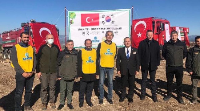 'Türk-Kore Dostluk Ormanları'nın 5'incisi Muğla'ya