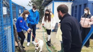 Ünlü çiftten sokak hayvanları için destek sözü
