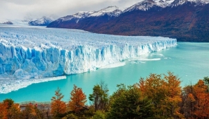 Antarktika çiçek açtı