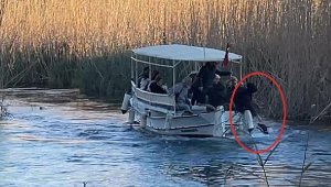 Azmağa düşen köpeği, tekne turundakiler kurtardı