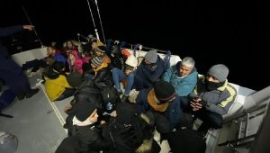 Bodrum'da 25 kaçak göçmen yakalandı