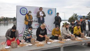 Datça'da en fazla bademi kırmak için yarıştılar