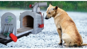 Hayvanları yakma ihalesinden vazgeçildi