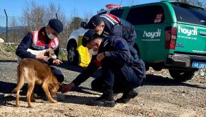Jandarma, sokak hayvanlarını unutmadı