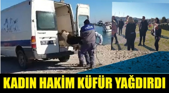 Kadın hakimden belediye ekiplerine: Ağzınıza s...cağım