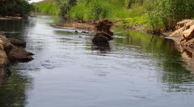 Manisa'da Gediz'i siyaha döndürenlere ceza yağdı
