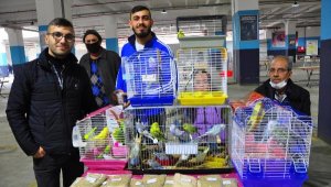 Manisa'da kuşlar görücüye çıktı