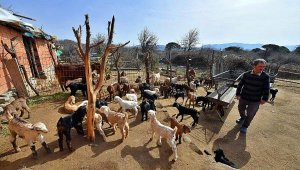 Mera İzmir projesi başladı, 258 çobanla ürün alım sözleşmesi imzalandı