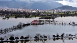 Muğla'da yağmur, su baskınlarına neden oldu