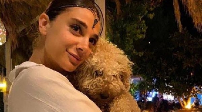 Pınar Gültekin davasında karar bekleniyor