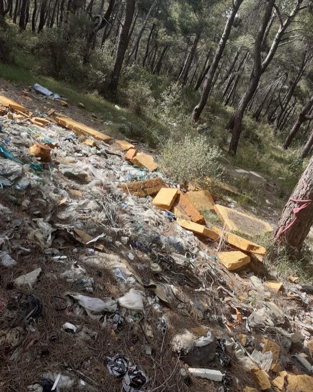 Sarnıç ormanını çöplüğe çevirdiler, gören yetkili var mı?