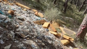 Sarnıç ormanını çöplüğe çevirdiler, gören yetkili var mı?