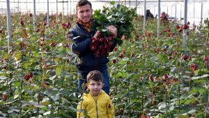 Sevgiliye gül Menderes'ten