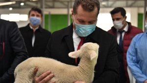 "Türkiye'nin mandırası Balıkesir"