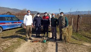 Yasa dışı saka kuşu avına 41 bin TL ceza