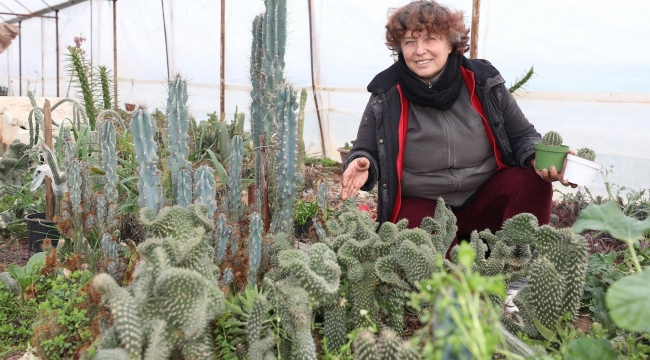 Yetiştirdiği kaktüsleri satıp 200 can dosta bakıyor