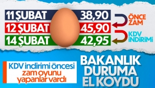 Yumurta fiyatları için soruşturma