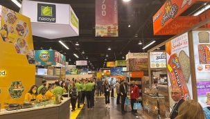 ABD'ye gıda ihracatımızda yüzde 65'lik artış