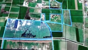 Aydın'da kurulacak organize seralarda yıllık 10 bin ton yaş sebze üretilecek