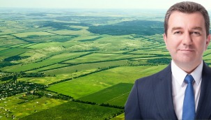 Bergama Belediyesi, 17 tarlasını satıyor