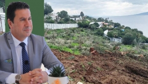Bodrum'da hazine arazisi satıldı, 801 ağaç kesildi