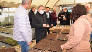 Bornova'nın tohumları postayla Türkiye'ye yayılıyor